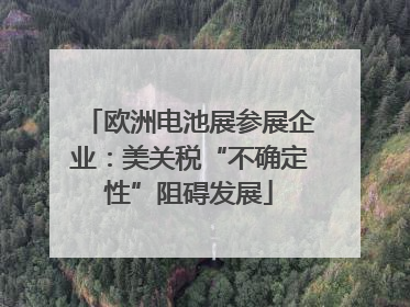 欧洲电池展参展企业：美关税“不确定性”阻碍发展