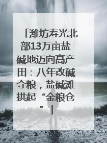潍坊寿光北部13万亩盐碱地迈向高产田：八年改碱夺粮，盐碱滩拱起“金粮仓”