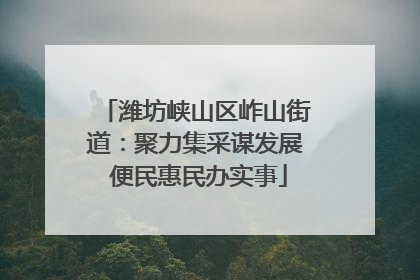 潍坊峡山区岞山街道：聚力集采谋发展 便民惠民办实事