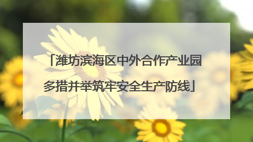 潍坊滨海区中外合作产业园多措并举筑牢安全生产防线