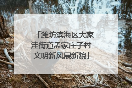 潍坊滨海区大家洼街道孟家庄子村文明新风展新貌