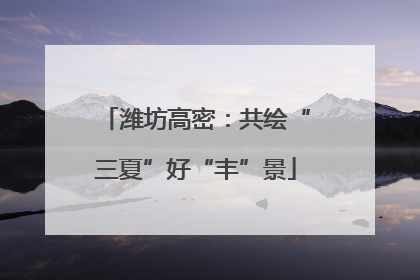 潍坊高密：共绘“三夏”好“丰”景
