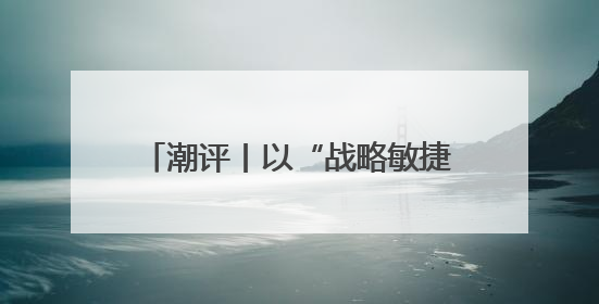 潮评丨以“战略敏捷”抢占“时差优势”