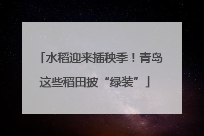 水稻迎来插秧季！青岛这些稻田披“绿装”