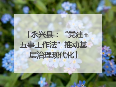 永兴县：“党建+五事工作法”推动基层治理现代化