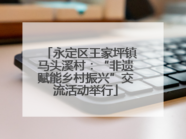 永定区王家坪镇马头溪村：“非遗赋能乡村振兴”交流活动举行