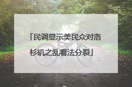 民调显示美民众对洛杉矶之乱看法分裂