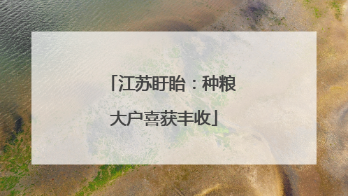江苏盱眙：种粮大户喜获丰收