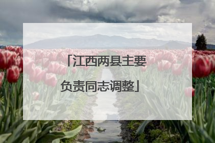 江西两县主要负责同志调整