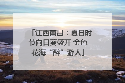 江西南昌：夏日时节向日葵盛开 金色花海“醉”游人