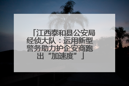 江西泰和县公安局经侦大队：运用新型警务助力护企安商跑出“加速度”
