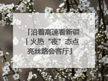沿着高速看新疆丨火热“夜”态点亮丝路会客厅