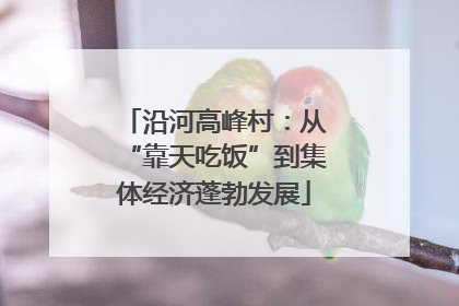 沿河高峰村：从“靠天吃饭”到集体经济蓬勃发展