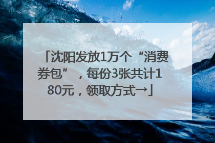 沈阳发放1万个“消费券包”，每份3张共计180元，领取方式→
