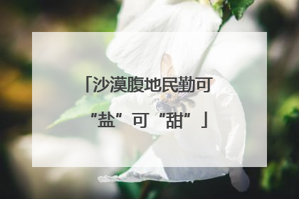 沙漠腹地民勤可“盐”可“甜”