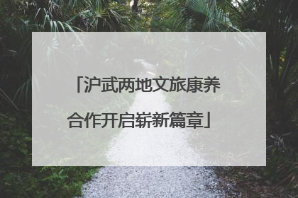 沪武两地文旅康养合作开启崭新篇章