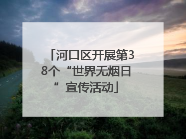 河口区开展第38个“世界无烟日”宣传活动