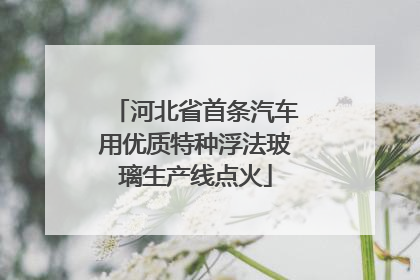 河北省首条汽车用优质特种浮法玻璃生产线点火