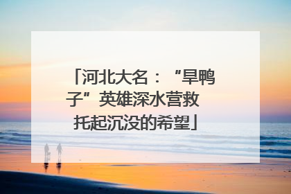 河北大名：“旱鸭子”英雄深水营救 托起沉没的希望