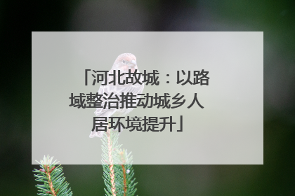 河北故城：以路域整治推动城乡人居环境提升