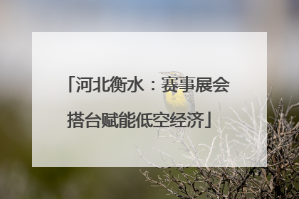 河北衡水：赛事展会搭台赋能低空经济