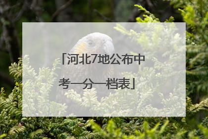河北7地公布中考一分一档表