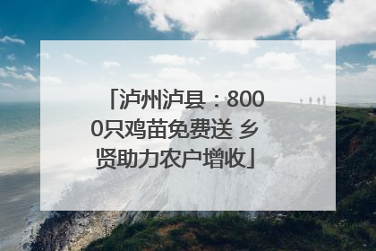 泸州泸县：8000只鸡苗免费送 乡贤助力农户增收