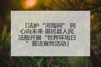 法护“河海间” 同心向未来 惠民县人民法院开展“世界环境日”普法宣传活动