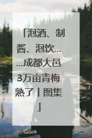 泡酒、制酱、泡饮……成都大邑3万亩青梅熟了丨图集