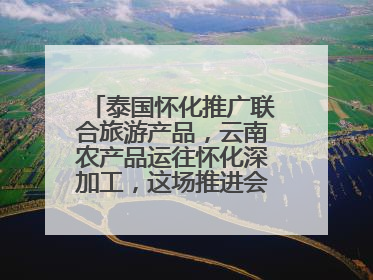 泰国怀化推广联合旅游产品，云南农产品运往怀化深加工，这场推进会干货很多