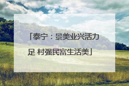 泰宁：景美业兴活力足 村强民富生活美