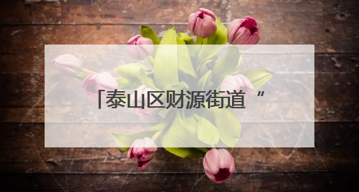 泰山区财源街道“绿书签”专项行动：多点开花共筑幼苗清朗成长空间