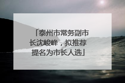 泰州市常务副市长沈峻峰，拟推荐提名为市长人选