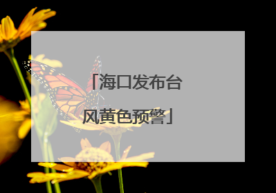 海口发布台风黄色预警