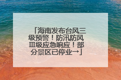 海南发布台风三级预警！防汛防风Ⅲ级应急响应！部分景区已停业→