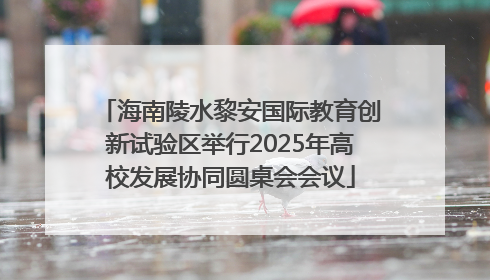 海南陵水黎安国际教育创新试验区举行2025年高校发展协同圆桌会会议