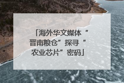 海外华文媒体“晋南粮仓”探寻“农业芯片”密码