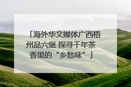 海外华文媒体广西梧州品六堡 探寻千年茶香里的“乡愁味”
