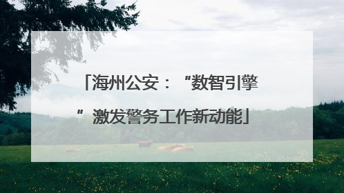 海州公安：“数智引擎”激发警务工作新动能