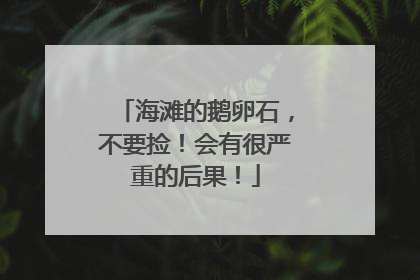 海滩的鹅卵石，不要捡！会有很严重的后果！