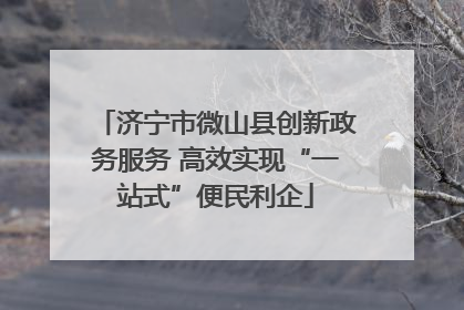 济宁市微山县创新政务服务 高效实现“一站式”便民利企