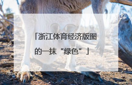浙江体育经济版图的一抹“绿色”