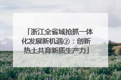 浙江全省域抢抓一体化发展新机遇②：创新热土共育新质生产力