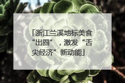 浙江兰溪地标美食“出圈”，激发“舌尖经济”新动能