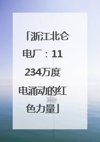浙江北仑电厂：11234万度电涌动的红色力量