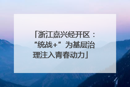 浙江嘉兴经开区：“统战+”为基层治理注入青春动力