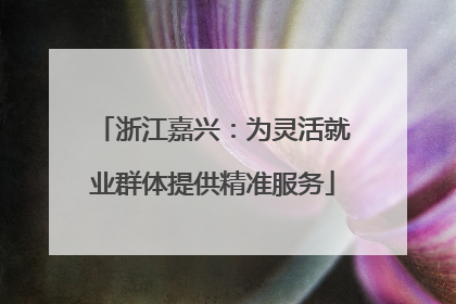 浙江嘉兴：为灵活就业群体提供精准服务