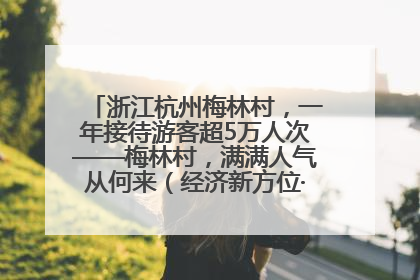 浙江杭州梅林村，一年接待游客超5万人次——梅林村，满满人气从何来（经济新方位·农村消费观察）