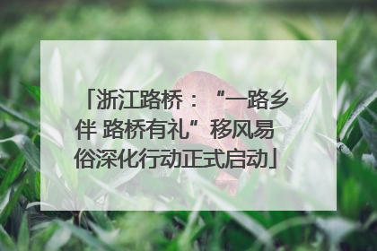 浙江路桥：“一路乡伴 路桥有礼”移风易俗深化行动正式启动
