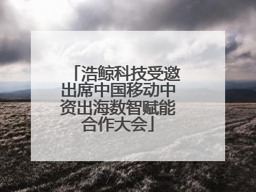 浩鲸科技受邀出席中国移动中资出海数智赋能合作大会